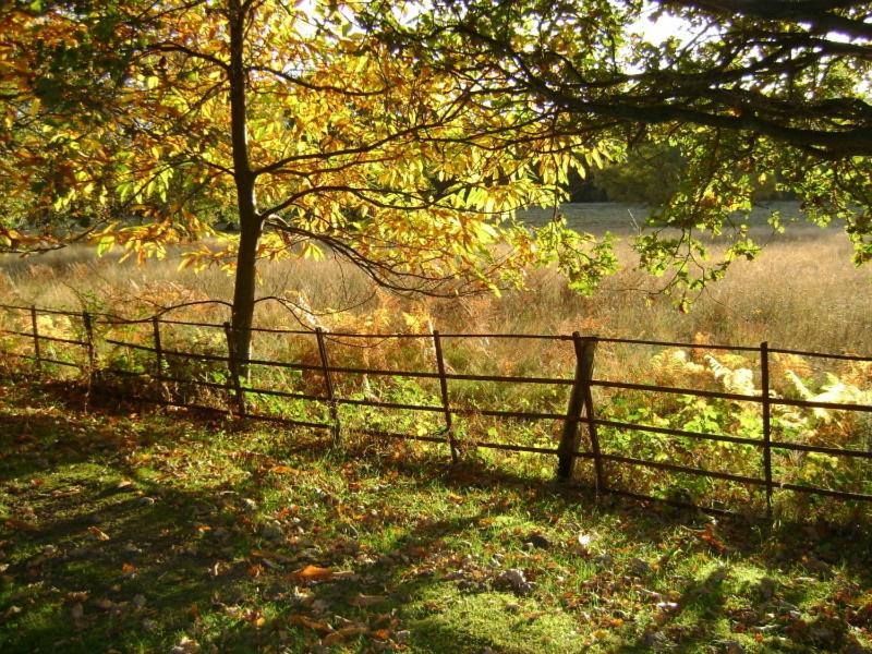 Tekels Park Guest House Camberley Dış mekan fotoğraf